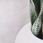 pexels-content-pixie-4103435-scaled-1.jpg